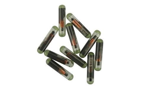 Transponder Chips